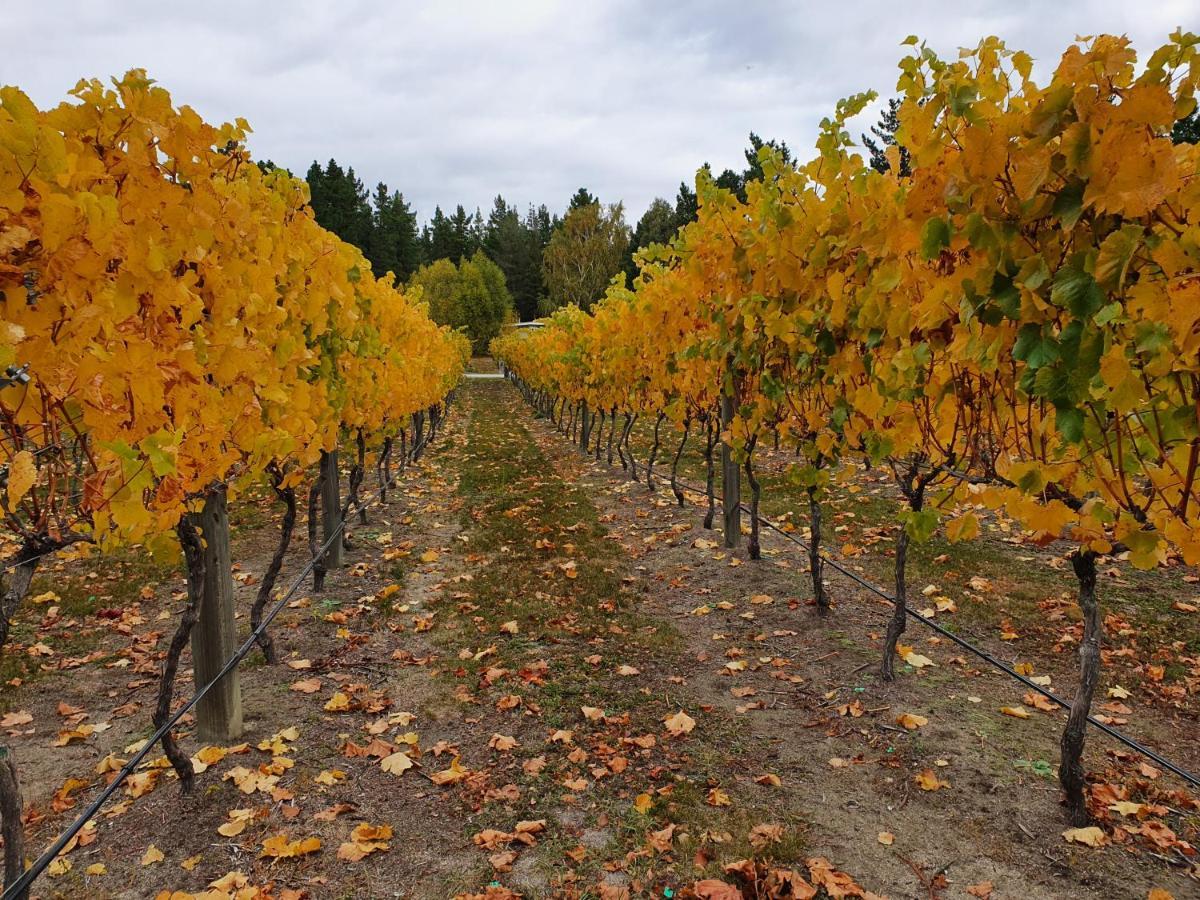Bed and Breakfast Vines On Bannockburn Кромвель Екстер'єр фото